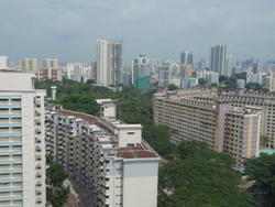 Oleander Towers (D12), Apartment #133151362